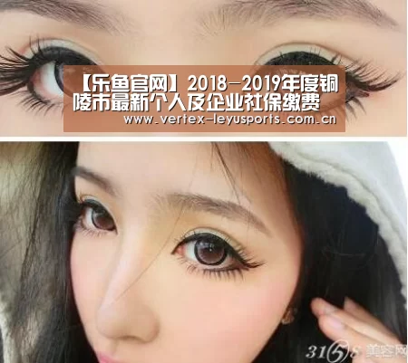 【乐鱼官网】2018-2019年度铜陵市最新个人及企业社保缴费比例及缴费基数(图3) 乐鱼体育app