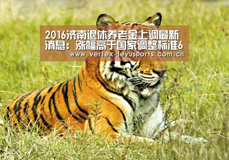2016济南退休养老金上调最新消息:涨幅高于国家调整标准6.5%:乐鱼app(图1) 乐鱼体育app