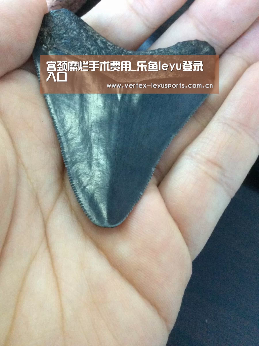 宫颈糜烂手术费用_乐鱼leyu登录入口(图1) 乐鱼官网