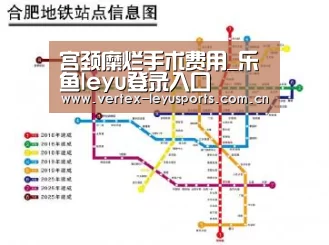 宫颈糜烂手术费用_乐鱼leyu登录入口(图2) 乐鱼官网