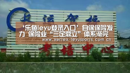 ‘乐鱼leyu登录入口’自保保险发力 保险业“三足鼎立”体系渐完善(图4) 乐鱼体育app