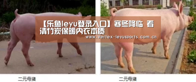 【乐鱼leyu登录入口】寒冬降临 看清竹炭保暖内衣本质(图2) 乐鱼体育app