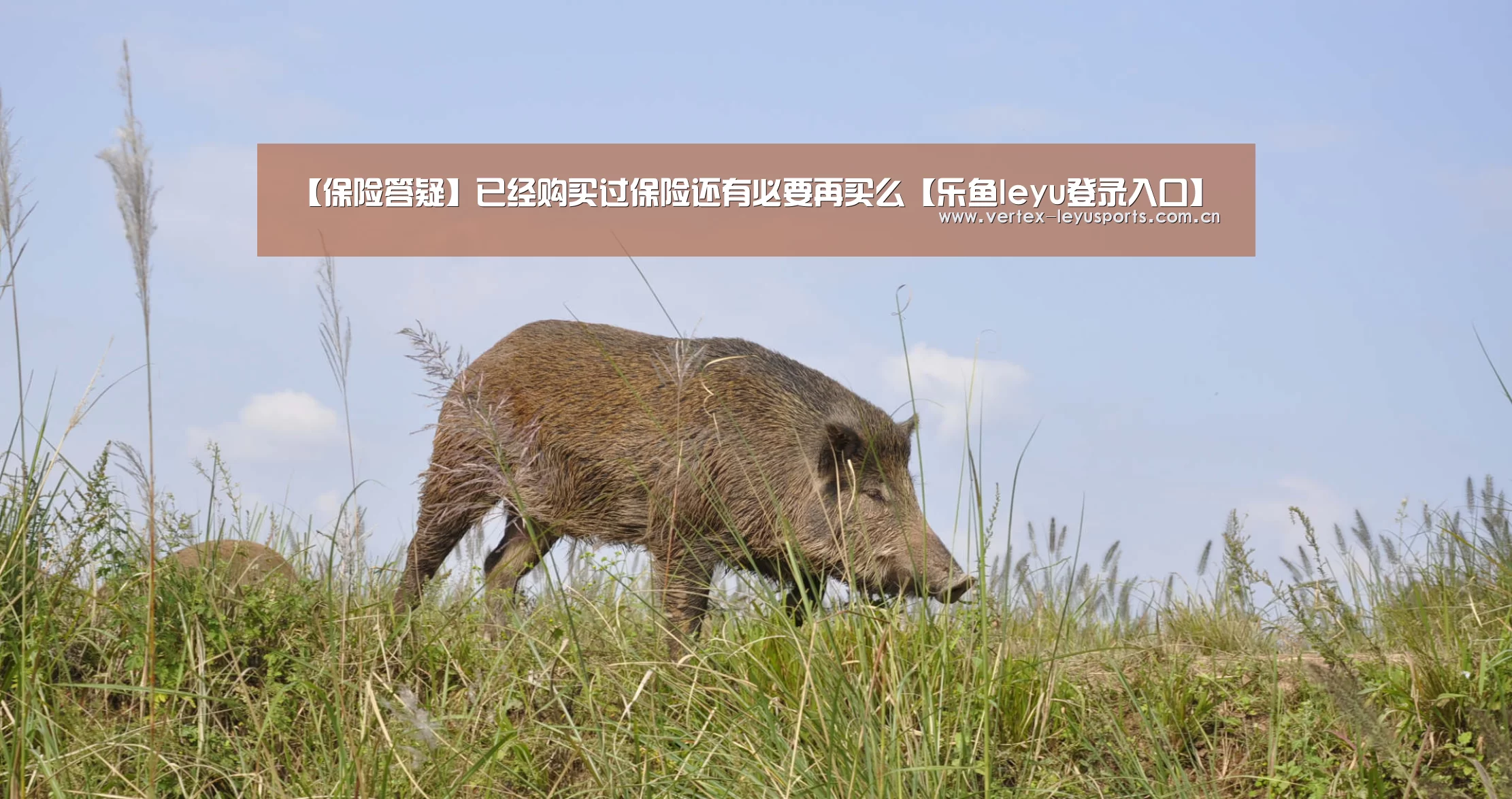 乐鱼官网