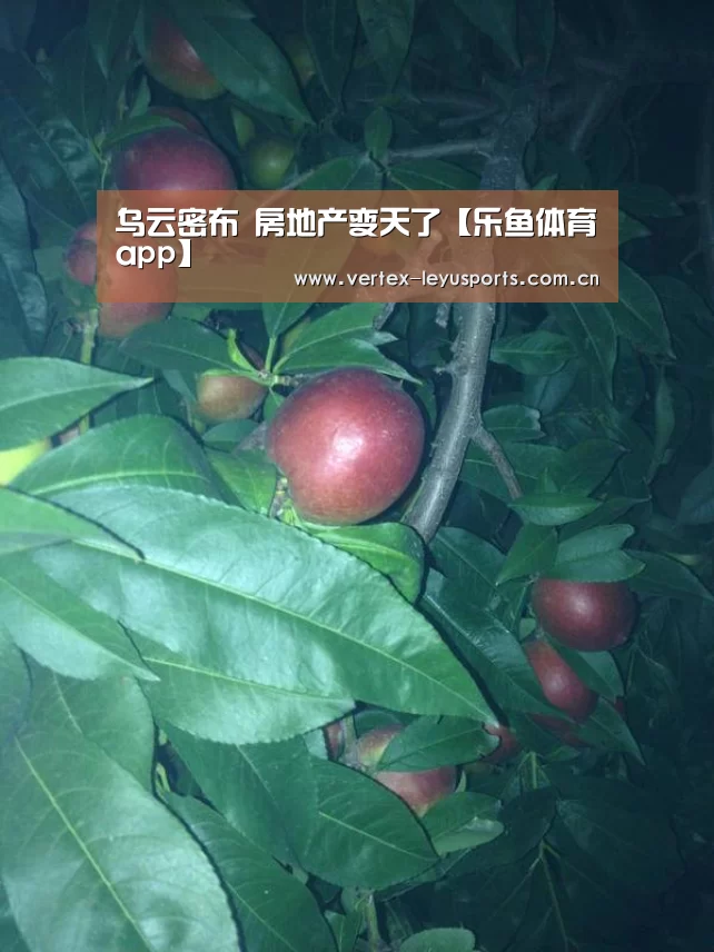 乌云密布 房地产变天了【乐鱼体育app】(图1) 乐鱼体育app