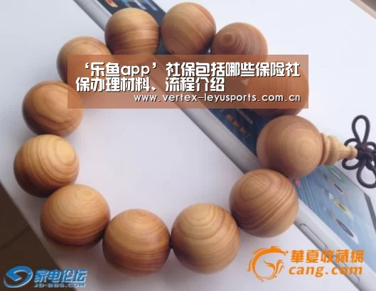 ‘乐鱼app’社保包括哪些保险社保办理材料、流程介绍(图3) 乐鱼leyu登录入口