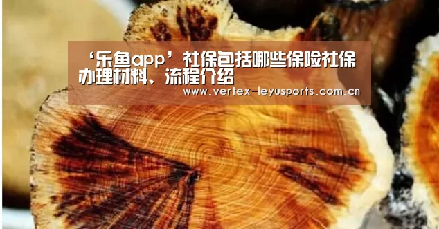‘乐鱼app’社保包括哪些保险社保办理材料、流程介绍(图4) 乐鱼官网